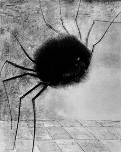 Laughing spider